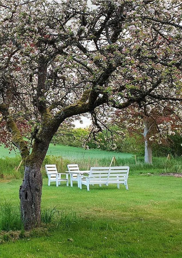 Minnesberg Bed & Breakfast Trelleborg Luaran gambar