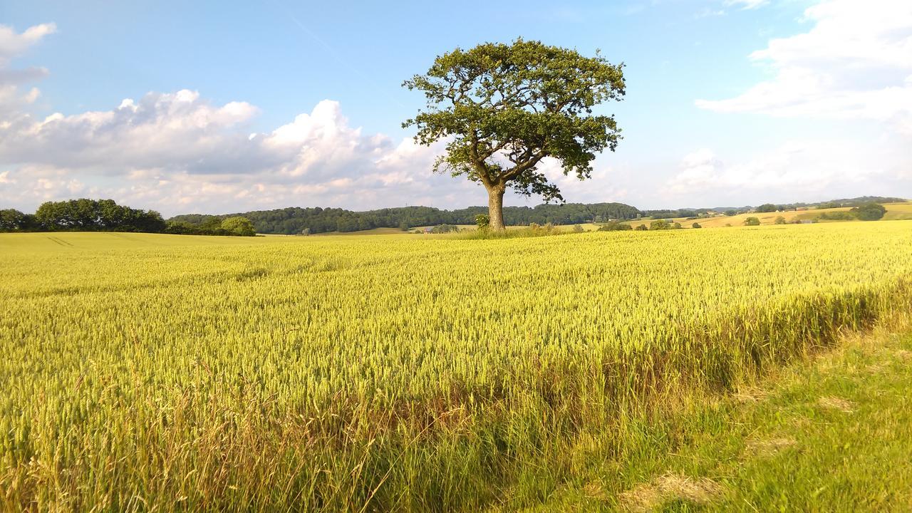 Minnesberg Bed & Breakfast Trelleborg Luaran gambar